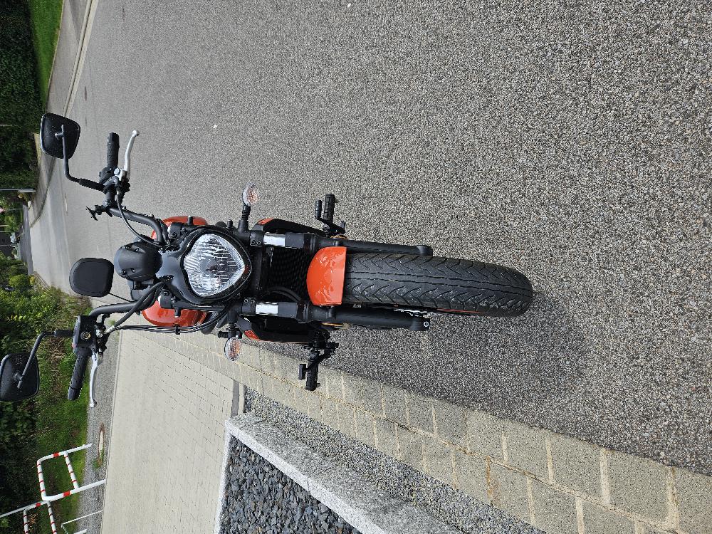 Motorrad verkaufen Kawasaki Vulkan S Spezial Edition orange Ankauf
